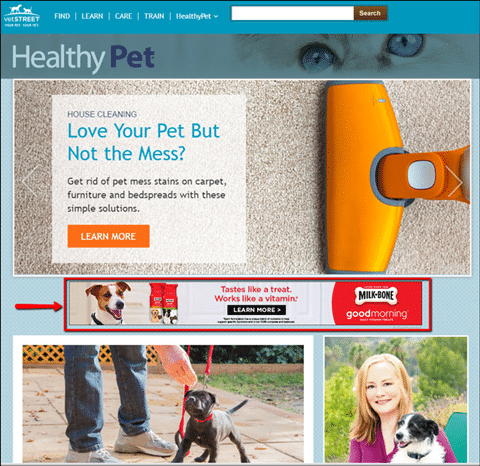 Example of a well designed Google Display Ad.
